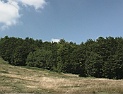 DV00017