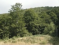 DV00055