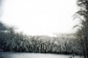 panorama02-b
