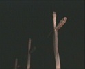 photo2