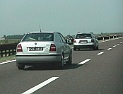 19octavia