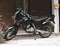 pegaso650