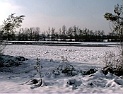 DV00002