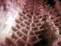 DV00016