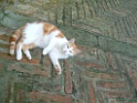 DSCF0046