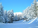 DSCF0087
