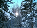 DSCF0088