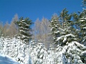 DSCF0014