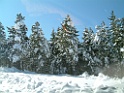 DSCF0033