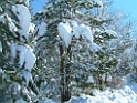 DSCF0035