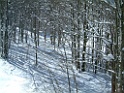DSCF0038