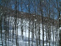 DSCF0041