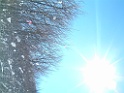 DSCF0042