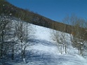 DSCF0043