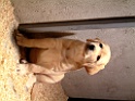DSCF0014
