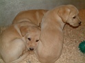 DSCF0026