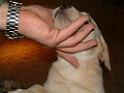 DSCF0031