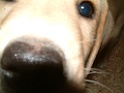 DSCF0035