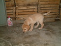 DSCF0036