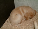 DSCF0042