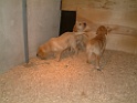 DSCF0049