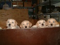 DSCF0054