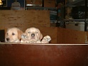 DSCF0057