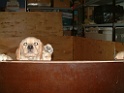 DSCF0058