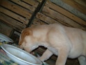 DSCF0070