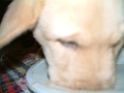 DSCF0071