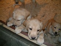 DSCF0074
