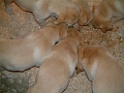 DSCF0084