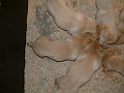 DSCF0085