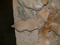 DSCF0086