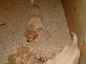 DSCF0099
