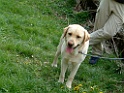 DSCF0116