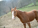 DSCF0059