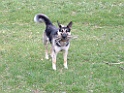 DSCF0078