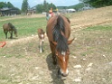 DSCF0140