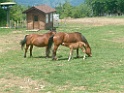DSCF0142