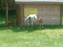 DSCF0143