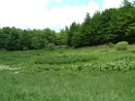 DSCF0071