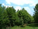 DSCF0073