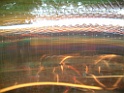 DSCF0122