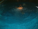 DSCF0009