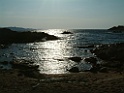 DSCF0102