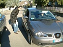 DSCF0275