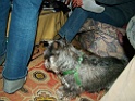 DSCF0033