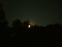 DSCF0025
