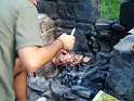 DSCF0518